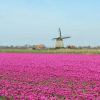 Отель Vakantiedorp Het Grootslag, фото 7