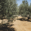 Отель Family Summer Home near Beach, фото 28