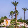 Отель Hawthorn Suites by Wyndham Chandler/Phoenix Area, фото 14