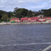 Отель Regatta Point Tavern, фото 10