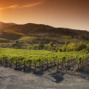 Отель Relais Colline San Biagio, фото 30