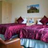 Отель The Wroxeter Hotel, фото 18