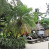 Отель Tonglen Eco Resort, фото 14