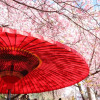 Отель Stay SAKURA Kyoto Kiyomizu Ougi, фото 22