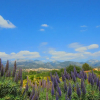 Отель Apartamento Vista, фото 17