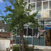 Отель Yangkor Tibetan Homestay - Hostel, фото 15