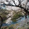 Отель Akita Onsen Plaza, фото 22