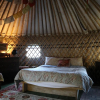 Отель 2 Luxury Yurts & Barn Kitchen Big Garden Sleeps 9, фото 20