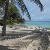 Отель Pension Rangiroa Plage, фото 5