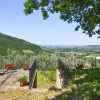 Отель Stunning Home in Castiglion Fiorentino With Outdoor Swimming Pool, Wifi and Private Swimming Pool, фото 1