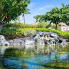 Отель Shores at Waikoloa 234 at Bo Tree Tower, фото 24