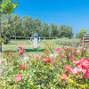 Отель Villaggio Pini, фото 24