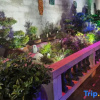 Отель Junhao Hotel Shishi, фото 2