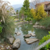 Отель Miyi Ningze Sunshine Hotel, фото 1