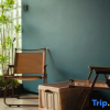 Отель Seekway Hotel (Baolong Tiandi), фото 4