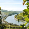 Отель Weingut und Gästehaus Apel, фото 19