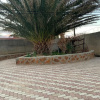 Отель Harmony Guest House, фото 1