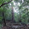 Отель The Bri Bri House at Juan Manuel National Park, Rustic but Nice, фото 4