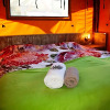 Отель Quinta Japonesa, фото 3