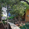 Отель Zingela Nature Reserve - Leadwood Lodge, фото 8