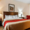 Отель Comfort Inn & Suites Creswell, фото 19