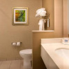 Отель Fairfield Inn & Suites St Louis Westport, фото 6