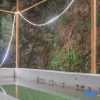 Отель Tingjian Mount Mogan luxury design hostel, фото 14