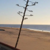 Отель Hostal Rompeolas, фото 10