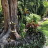 Отель Belize Budget Suites, фото 23