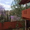 Отель Casa Terracota, фото 7