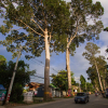 Отель Wiang Kum Kam Resort, фото 28