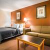 Отель Quality Inn & Suites, фото 22