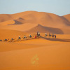 Отель Luxury Camp Chebbi, фото 40