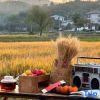 Отель Anji Daoxiang Yinxin Mountain Camping Parent-child Holiday Homestay (YucunZhuboyuan Branch), фото 20