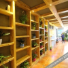 Отель Xiezhan Hotel (Shanghai Hongqiao National Convention and Exhibition Center), фото 27