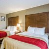 Отель Comfort Inn Lexington, фото 5