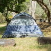 Отель Catalina Island Campgrounds, фото 1