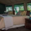 Отель Nkwe Safari Lodge, фото 2
