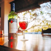 Отель Maroela Guest Lodge, фото 5