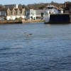 Отель The Nautilus Cowes IOW Sleeps 4 & Private Garden, фото 17