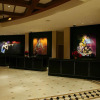 Отель Universal's Hard Rock Hotel, фото 12