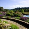 Отель Wine Country Inn & Cottages Napa Valley, фото 17