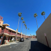 Отель Palm Tree Inn, фото 8