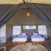Отель Mgunga Serengeti Luxury Camp, фото 6