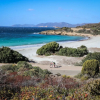 Отель Forte Village - Waterfront Suites, фото 29