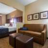 Отель Comfort Suites Rochester Henrietta University Area, фото 45