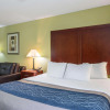 Отель Comfort Inn Decatur Priceville, фото 28
