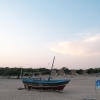 Отель Palace Beach Camp, фото 16