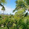 Отель Maui Banyan T-305 - Ocean View Beach Condo for 10, фото 15