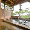 Отель Goshiki Onsen Sokawa Ryokan, фото 10